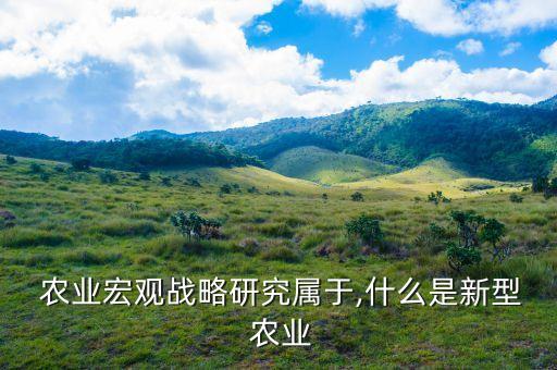  农业宏观战略研究属于,什么是新型 农业