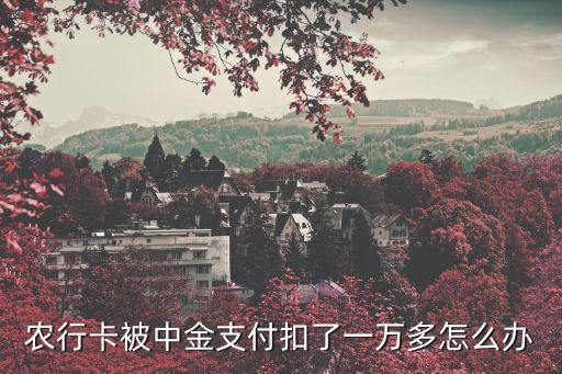 农业银行扣款怎么解决