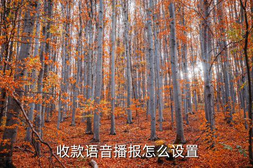 农业银行收款怎么听声音