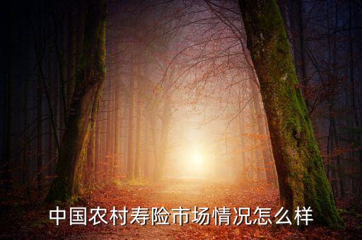 宣城农业保险怎么样,中国农业保险股份有限公司怎么样