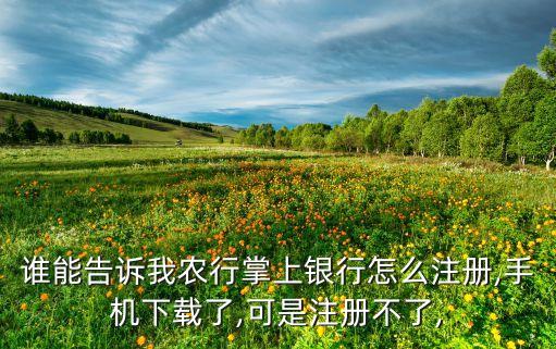 谁能告诉我农行掌上银行怎么注册,手机下载了,可是注册不了,