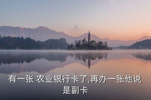 农业银行副卡怎么来的
