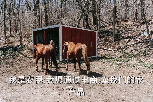 我是农民,我想通过电商,卖我们的农产品