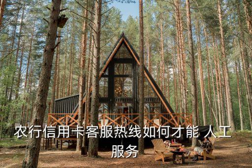 农业银行电话怎么人工服务