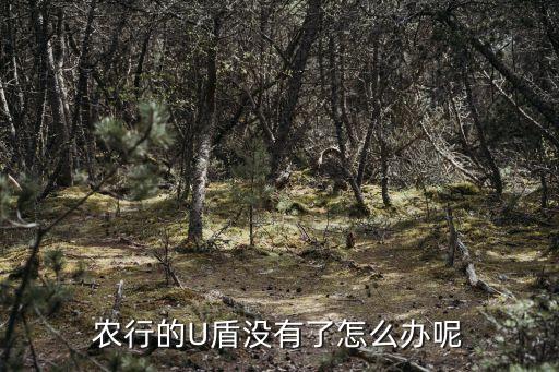 农业银行的u盾怎么查