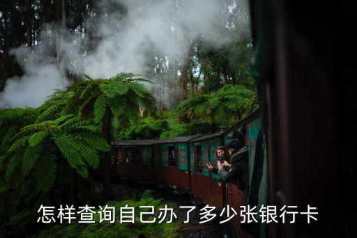 怎样查询自己办了多少张银行卡