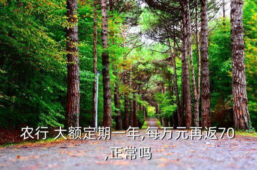 农行 大额定期一年,每万元再返70,正常吗