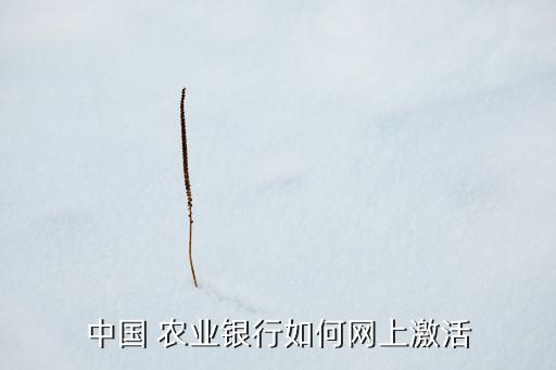 中国 农业银行如何网上激活