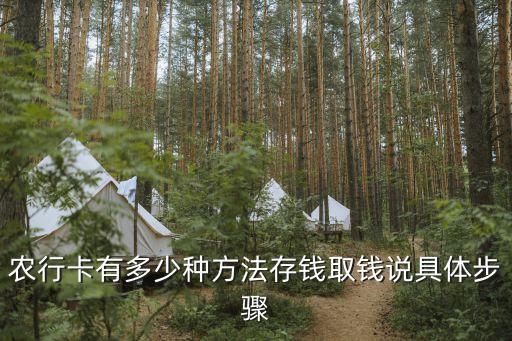 农业银行整整业务怎么取出