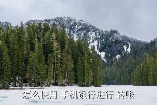 农业银行手机上怎么转账