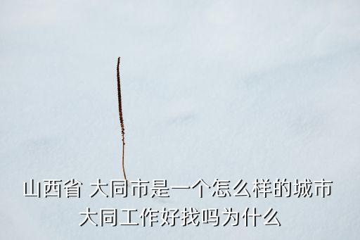 山西省 大同市是一个怎么样的城市 大同工作好找吗为什么
