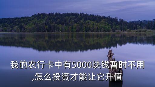 农业银行的钱怎么理财