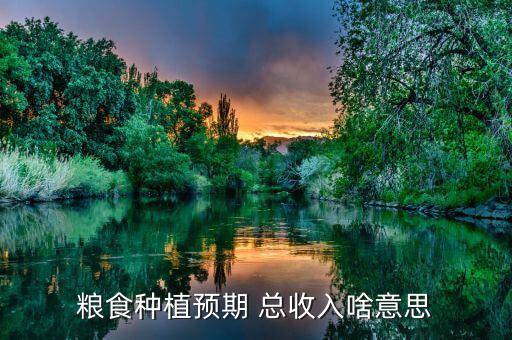农业总收入怎么计算,2020年农业总收入