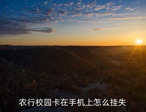 学校餐卡农业银行怎么补办,学校办的农业银行卡未激活
