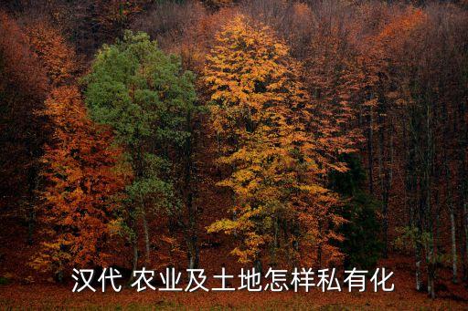 汉代 农业及土地怎样私有化