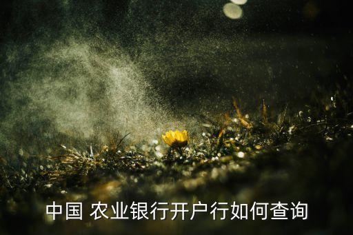 农业银行怎么用短信查支行
