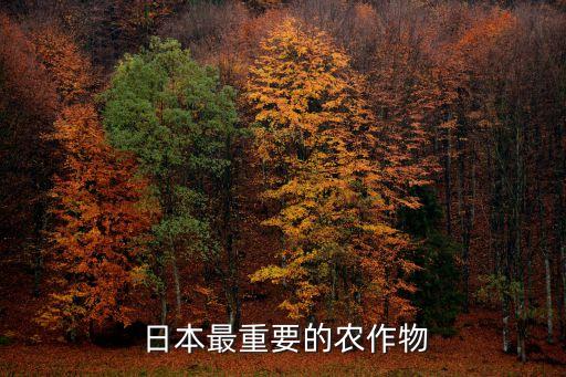 日本农业有什么好玩的,日本的设施农业有什么特点或者优势