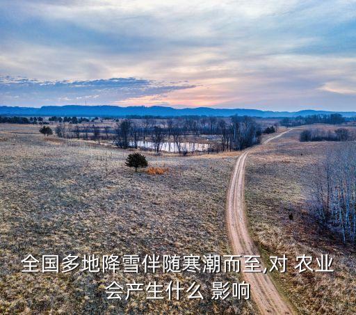 武汉下雪对农业有什么影响