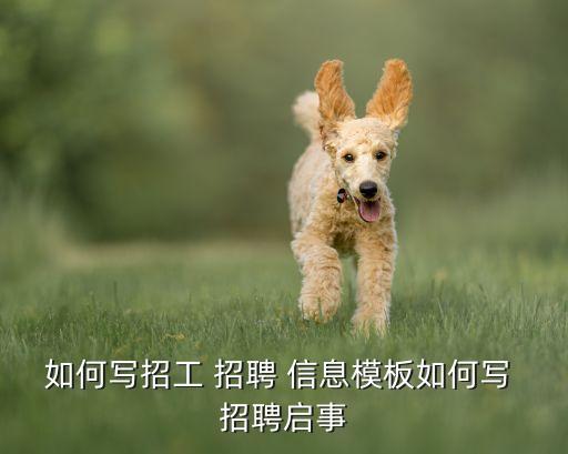 如何写招工 招聘 信息模板如何写 招聘启事