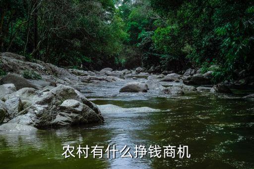 怎么做农业老板赚钱多,nba老板怎么赚钱