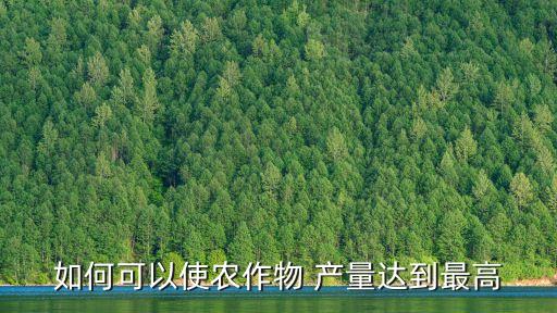 如何可以使农作物 产量达到最高