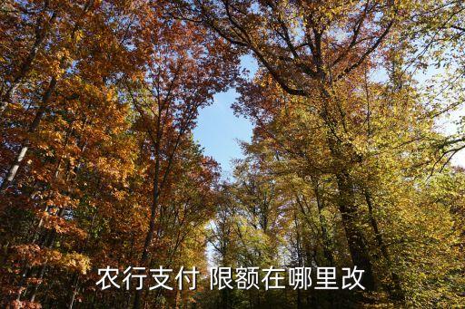 农业信用卡限额怎么设置,农业银行信用卡