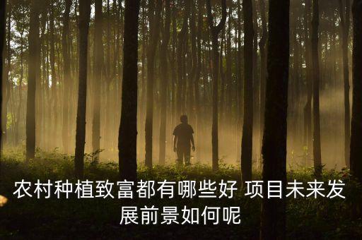 农村种植致富都有哪些好 项目未来发展前景如何呢