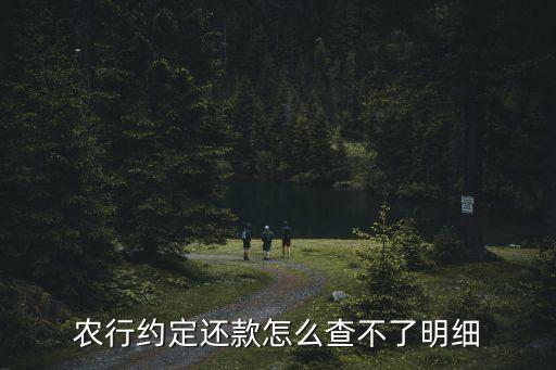 农业银行app怎么查看负债