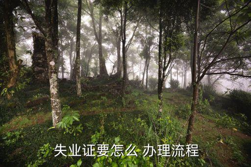 农业人口怎么办理失业证,现在失业证要怎么办理