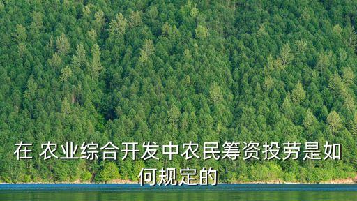 在 农业综合开发中农民筹资投劳是如何规定的