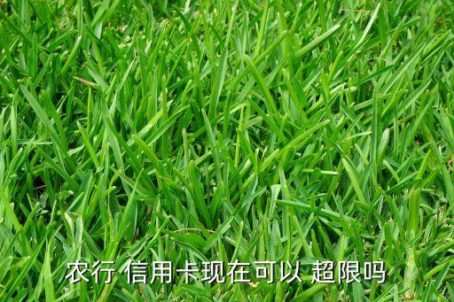 农行 信用卡现在可以 超限吗