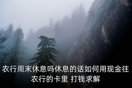 农业卡怎么打钱,网上怎么打钱到别人卡上