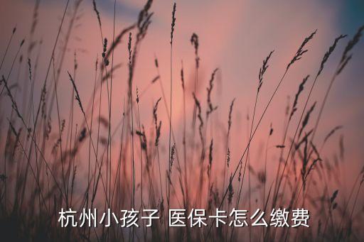 杭州农业医保怎么交,非农业孩子城乡医保怎么交