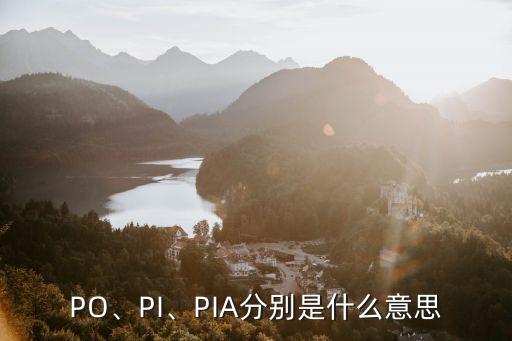 PO、PI、PIA分别是什么意思