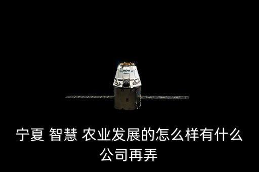 宁夏 智慧 农业发展的怎么样有什么公司再弄