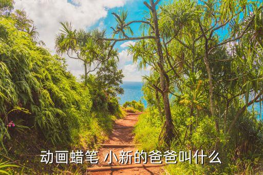 小新农业怎么样,小新pad2022怎么样