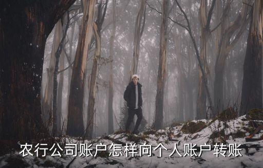 农行公司账户怎样向个人账户转账