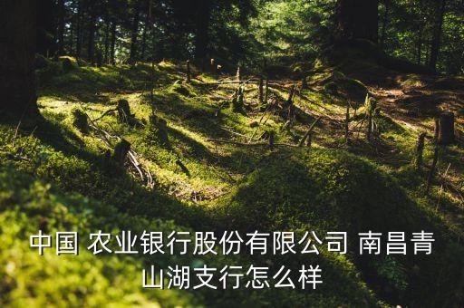 南昌农业银行怎么贷款,农业银行怎么还贷款