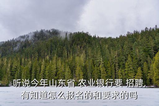 农业银行招聘信息怎么写,当地农业银行招聘简历怎么写