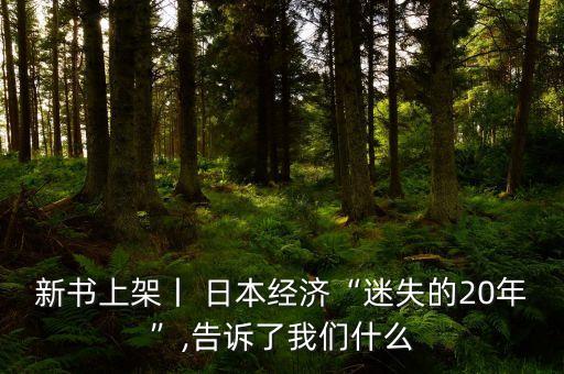 新书上架丨 日本经济“迷失的20年”,告诉了我们什么