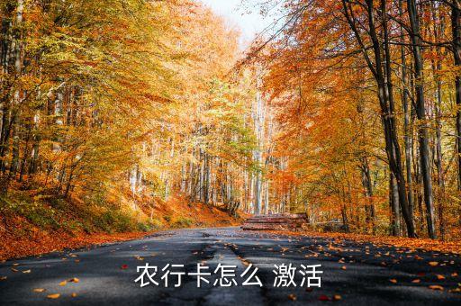 昆山农业银行怎么激活,农业银行激活后怎么登录