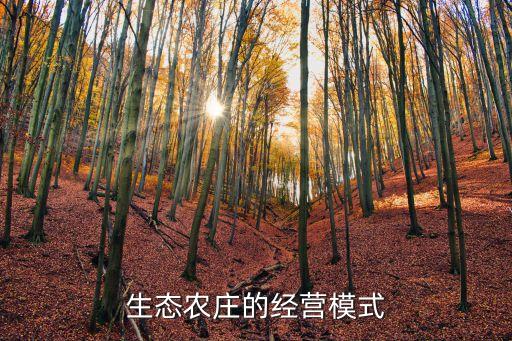 农业现代化的主题是什么,中国农业现代化的战略目标是什么