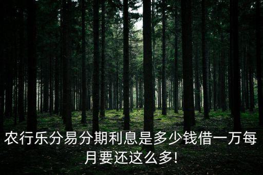 农业银行乐易分期怎么还款,农行乐分易怎么还款