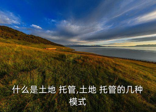 农业生产托管服务怎么开展