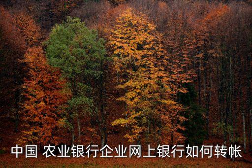 怎么设计农业银行批量转账,农业银行批量转账 金额输入不了