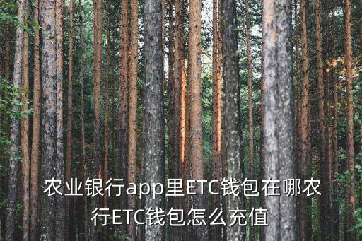 农业银行etc没有安装怎么查询,成都市农业银行ETC安装网点