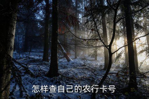 农业银行怎么知道我的账号,怎么添加农业银行账号