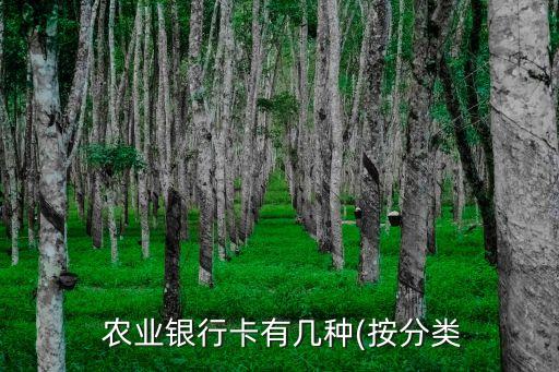 农业银行怎么投资贵金属