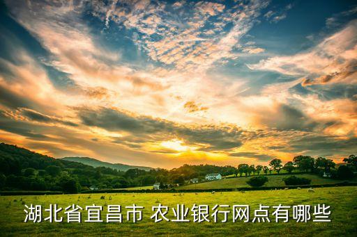十河镇农业银行名字叫什么,亳州市十河镇农业银行电话