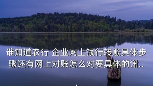 农业银行企业怎么对账单,农行企业怎么对账单